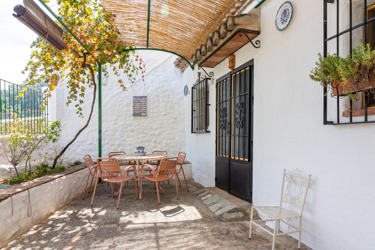Cuevas El Abanico - Vtar Vivienda Turistica De Alojamiento Rural Granada Ngoại thất bức ảnh